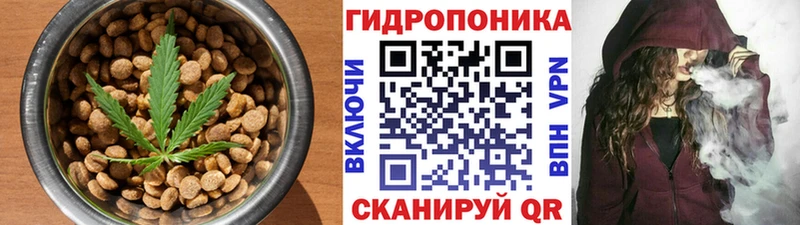 Купить закладки  Осинники  Canna-Cookies конопля 
