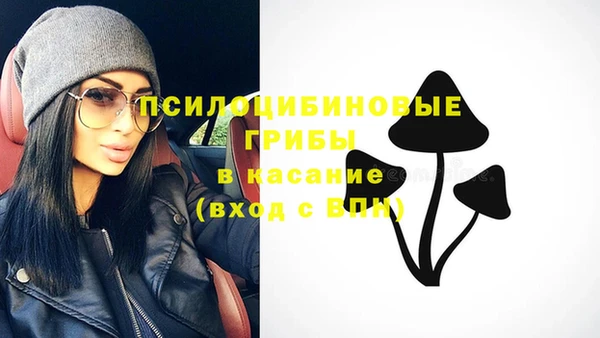мескалин Надым