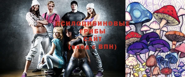 мескалин Надым