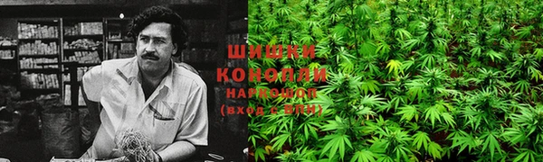 ECSTASY Навашино