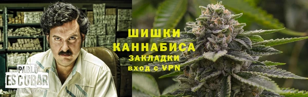 ECSTASY Навашино