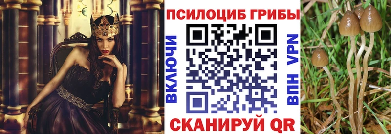 Купить  Осинники  Галлюциногенные грибы Cubensis 