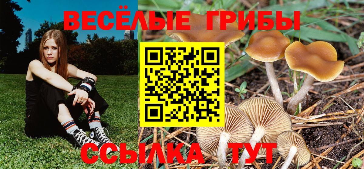 Галлюциногенные грибы MAGIC MUSHROOMS  купить наркоту  Осинники  Вход с VPN 