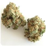Шишки "White Widow"  (Белая вдова)  Гидропоника -  Бошка VHQ в Осинниках